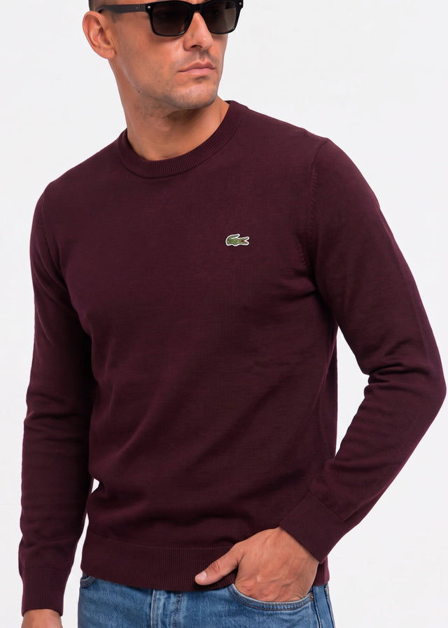 Lacoste Sweaters Regular fit crew neck sweater - oxalis