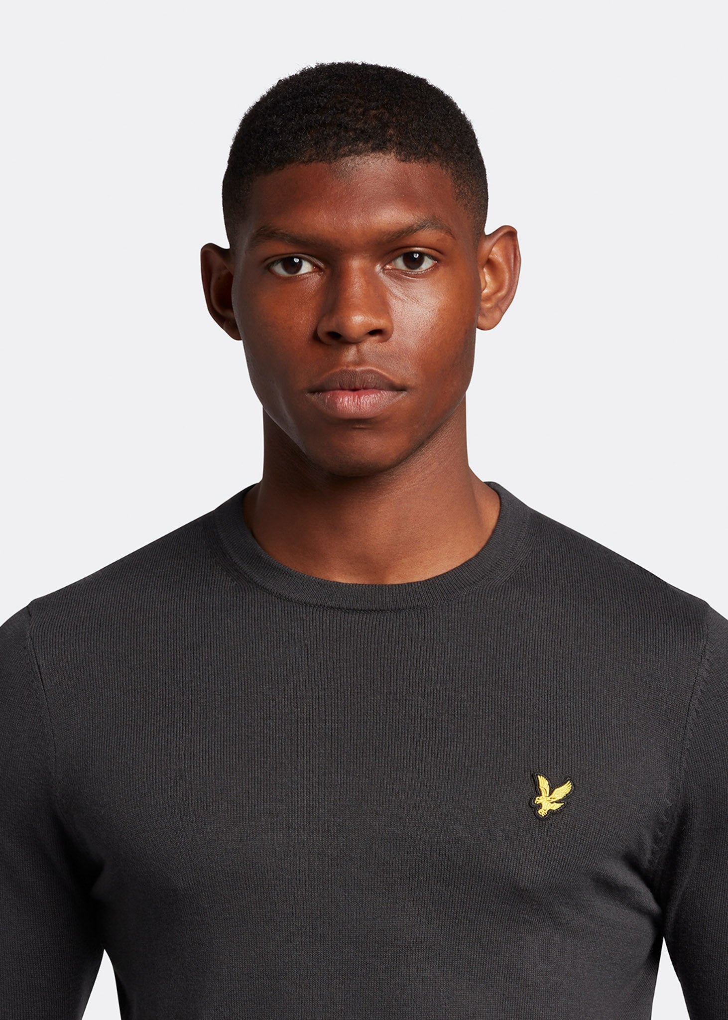 Lyle & Scott Truien  Cotton merino crew neck jumper - gunmetal 