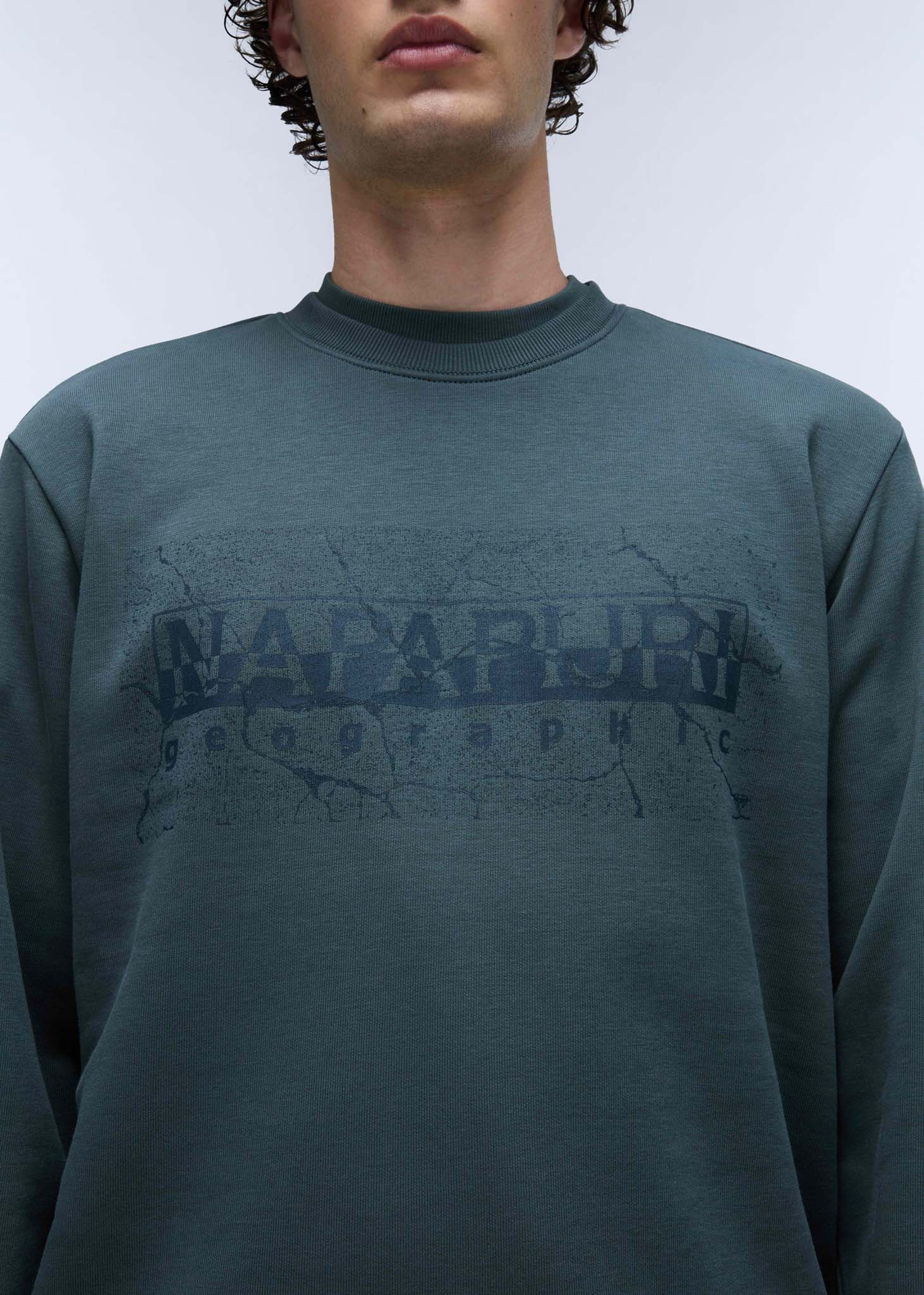 Napapijri Truien  Albula crewneck sweater  - green urban 