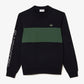 Lacoste Truien  Colorblock sweater - abysm sequoia 