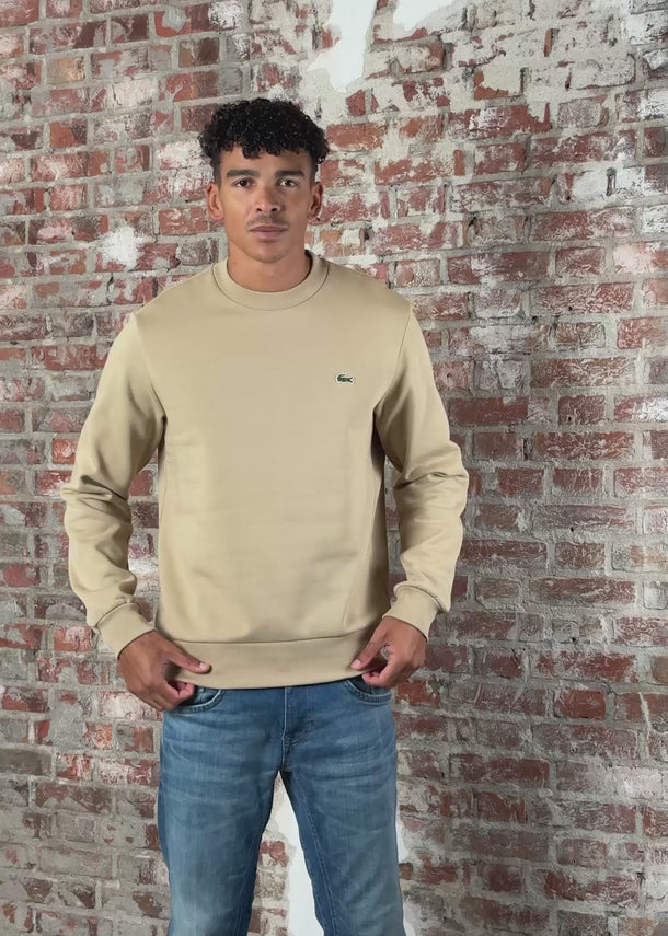 Lacoste Truien Sweater core - viennese