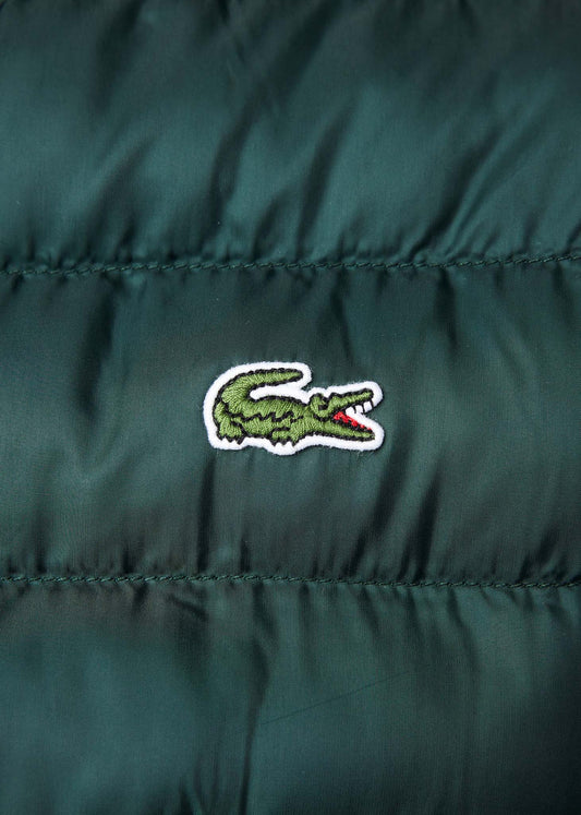 Lacoste jacket sinople green groen