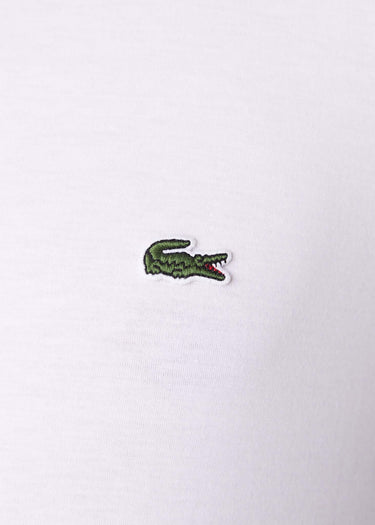 Lacoste T-shirts  T-shirt - white 